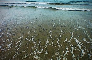 Shot at Marazion, Cornwall.
